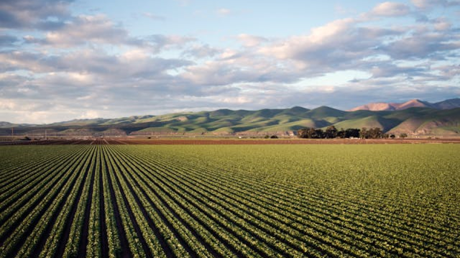 Coldiretti, crisi Medio Oriente: sia garantita la disponibilità delle materie prime